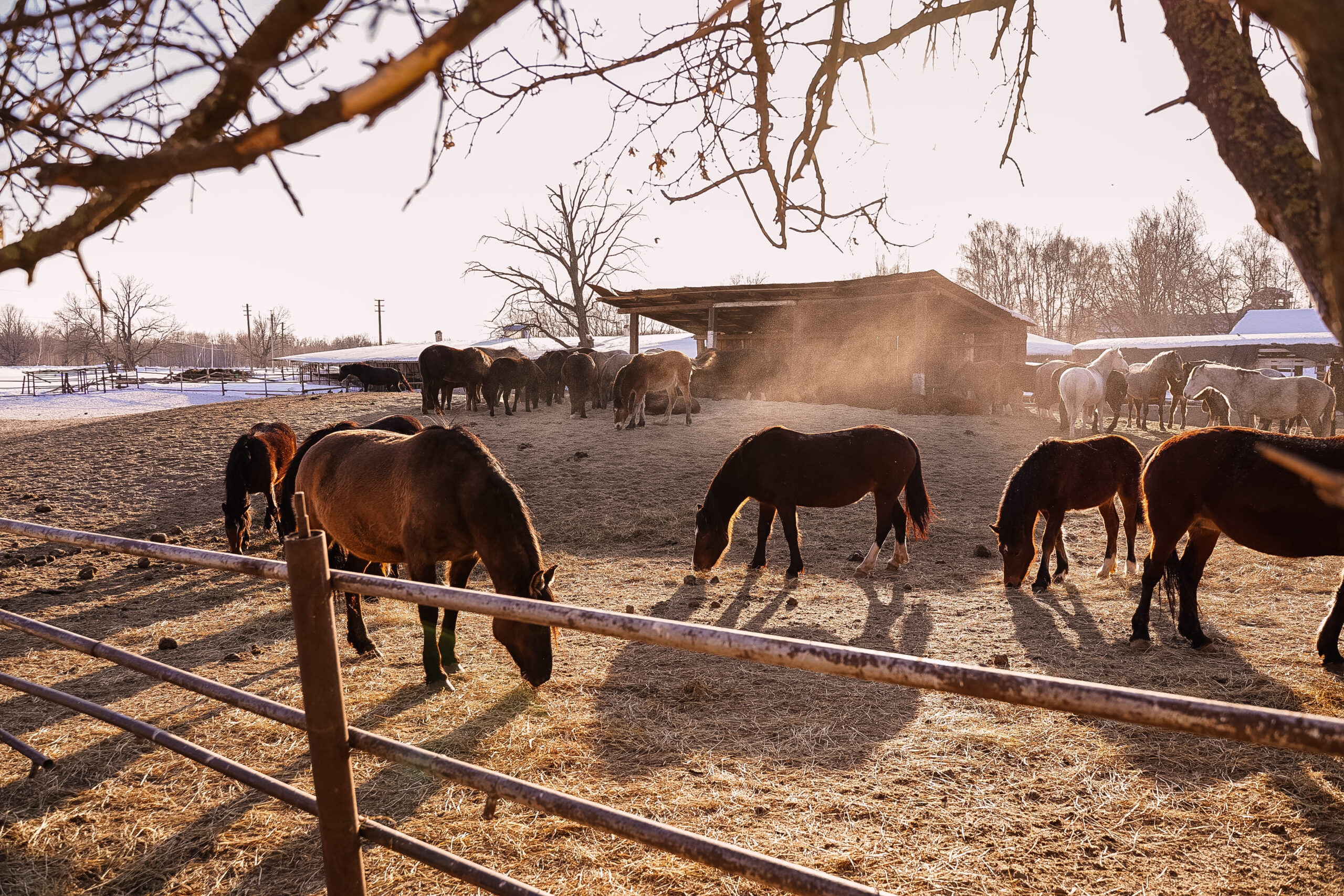 stable-2025-01-08-20-37-18-utc